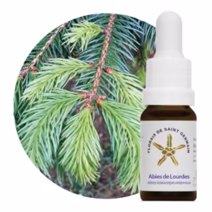 Abies de Lourdes Floral de Saint Germain 10 ml
