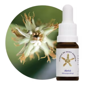 Abricó Floral de Saint Germain 10 ml