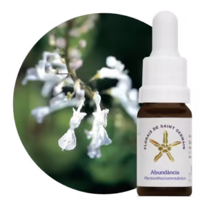 Abundância Floral de Saint Germain 10 ml