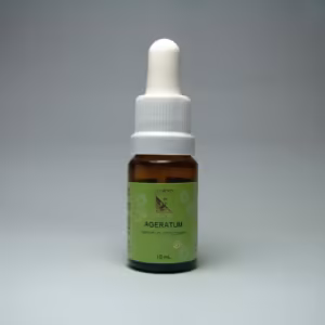 Ageratum Floral de Minas 10 ml