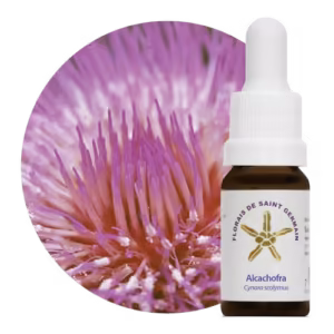 Alcachofra Floral de Saint Germain 10 ml