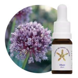 Allium Floral de Saint Germain 10 ml