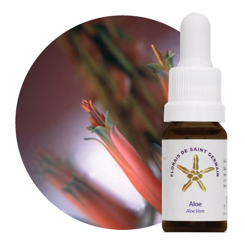 Aloe Floral de Saint Germain 10 ml