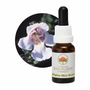 Alpine Mint Bush Floral do Bush Australiano 15 ml