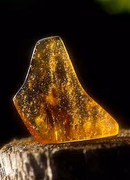 Amber Essência Mineral do Alaska