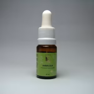 Ambrosia Floral de Minas 10 ml