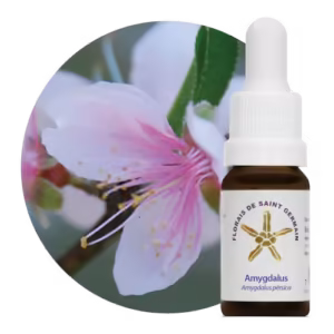 Amygdalus Floral de Saint Germain 10 ml