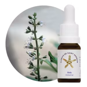 Anis Floral de Saint Germain 10 ml