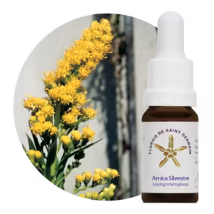 Arnica Silvestre Floral de Saint Germain 10 ml