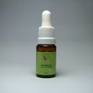 Artemisia Floral de Minas 10 ml