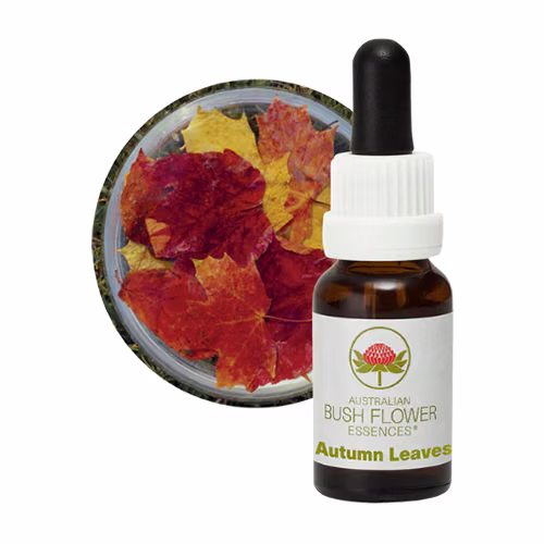 Autumn Leaves Floral do Bush Australiano 15 ml