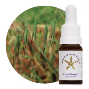 Aveia Selvagem Floral de Saint Germain 10 ml