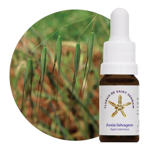 Aveia Selvagem Floral de Saint Germain 10 ml