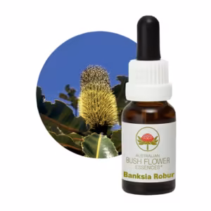 Banksia Robur Floral do Bush Australiano 15 ml