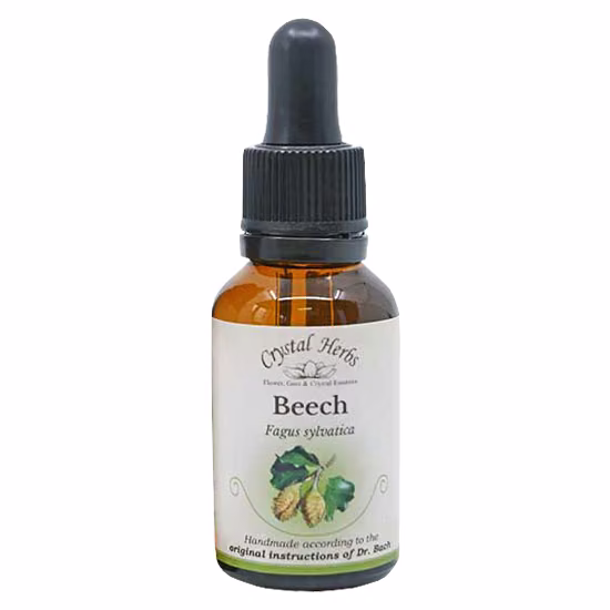 Beech Floral de Bach 20 ml - Imagem 2