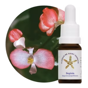Begônia Floral de Saint Germain SG 10 ml