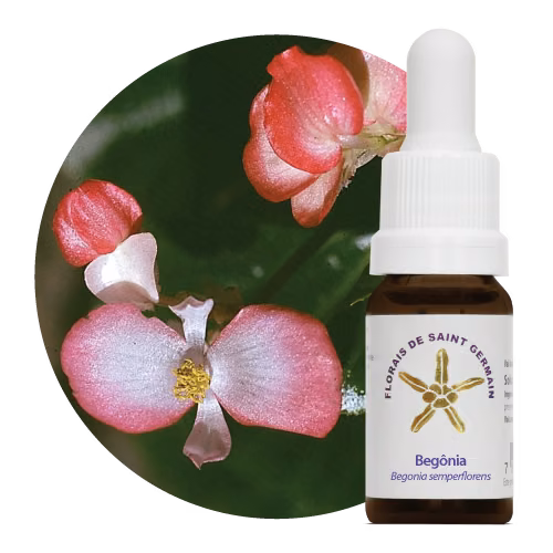 Begônia Floral de Saint Germain SG 10 ml