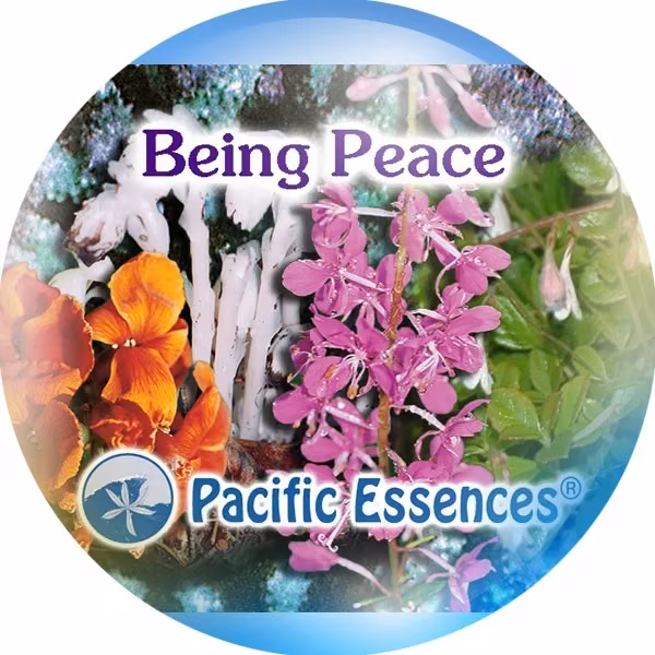 Being Peace Paz 25 ml - Imagem 2