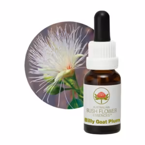 Billy Goat Plum Floral do Bush Australiano 15 ml