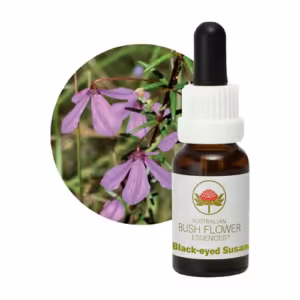 Black Eyed Susan Floral do Bush Australiano 15 ml