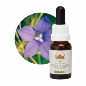 Bluebell Floral do Bush Australiano 15 ml