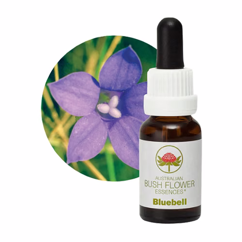 Bluebell Floral do Bush Australiano 15 ml