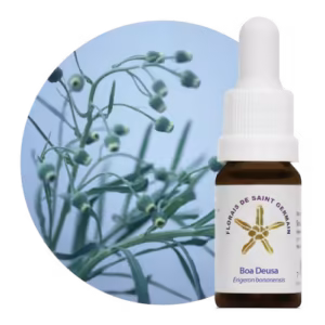 Boa Deusa Floral de Saint Germain 10 ml