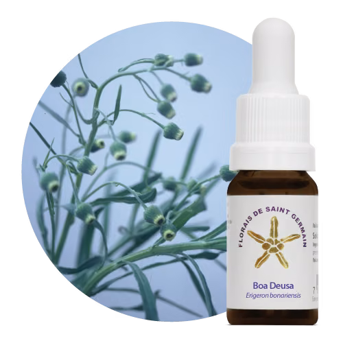 Boa Deusa Floral de Saint Germain 10 ml