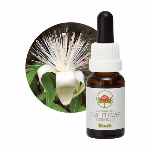 Boab Floral do Bush Australiano 15 ml