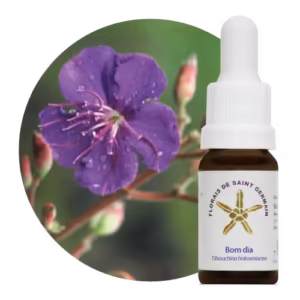 Bom Dia Floral de Saint Germain 10 ml