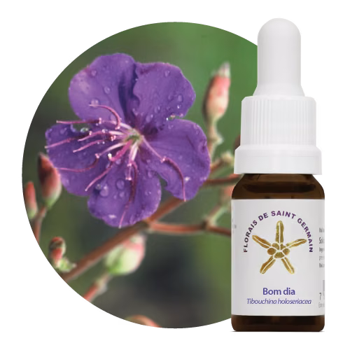 Bom Dia Floral de Saint Germain 10 ml