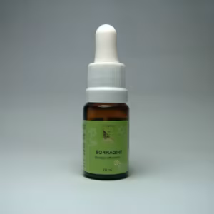 Borragine Floral de Minas 10 ml