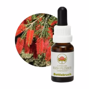 Bottlebrush Floral do Bush Australiano 15 ml