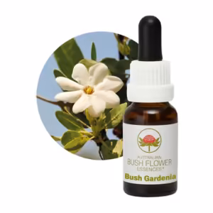 Bush Gardenia Floral do Bush Australiano 15 ml