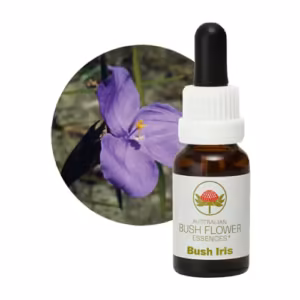 Bush Iris Floral do Bush Australiano 15 ml