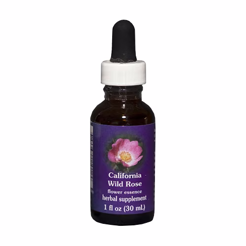 California Wild Rose Floral da Califórnia 30 ml - Imagem 2