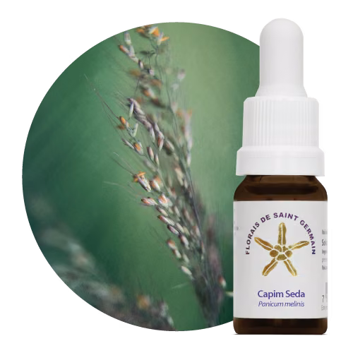 Capim Seda Floral de Saint Germain 10 ml