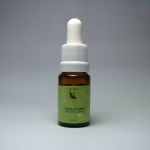 Cauliflora Floral de Minas 10 ml