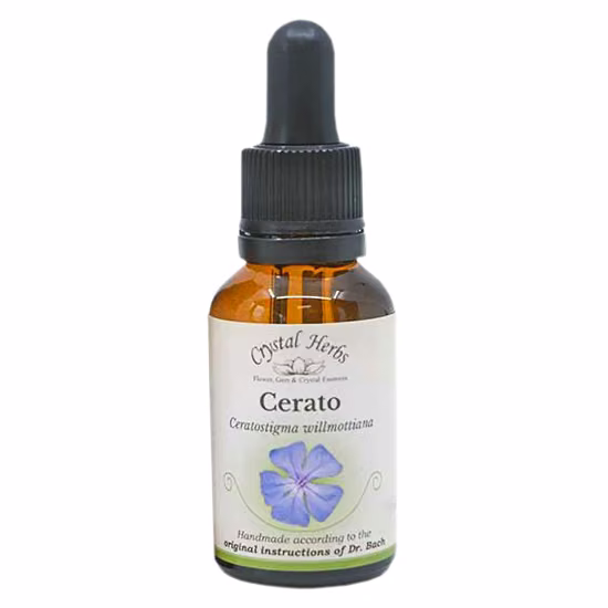 Cerato Floral de Bach 20 ml - Imagem 2