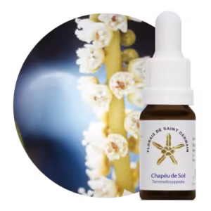Chapéu de Sol Floral de Saint Germain 10 ml