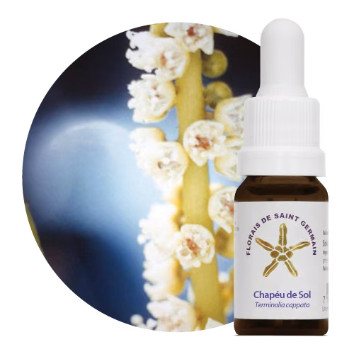 Chapéu de Sol Floral de Saint Germain 10 ml