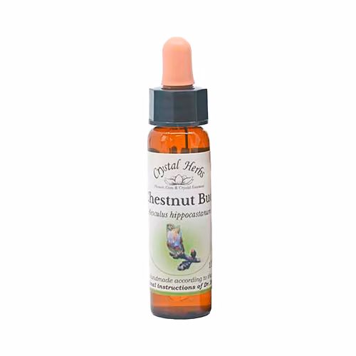 Chestnut Bud Floral de Bach 10 ml - Imagem 2