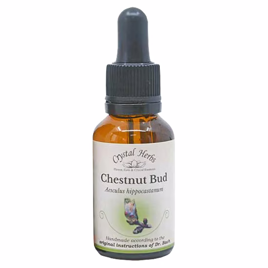 Chestnut Bud Floral de Bach 20 ml - Imagem 2