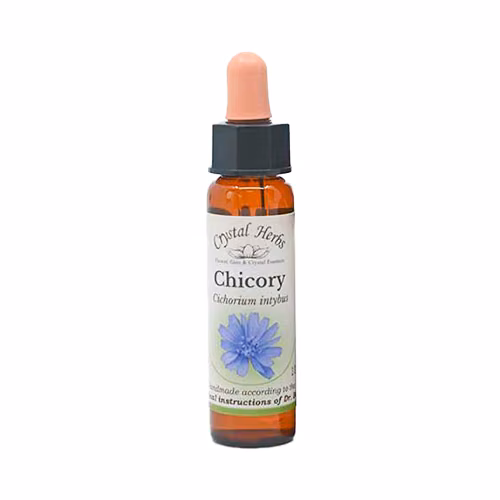 Chicory Floral de Bach 10 ml - Imagem 2