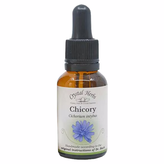 Chicory Floral de Bach 20 ml - Imagem 2