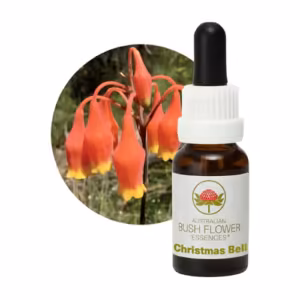 Christmas Bell Floral do Bush Australiano 15 ml