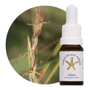 Cidreira Floral de Saint Germain -10 ml