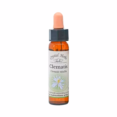 Clematis Floral de Bach 10 ml - Imagem 2