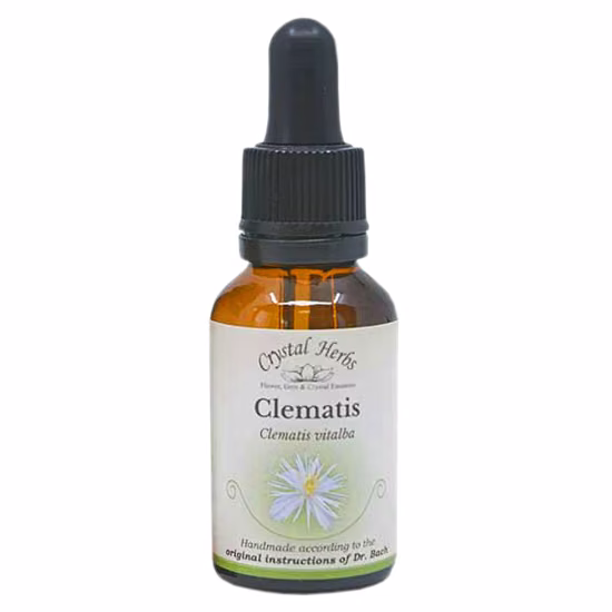 Clematis Floral de Bach 20 ml - Imagem 2