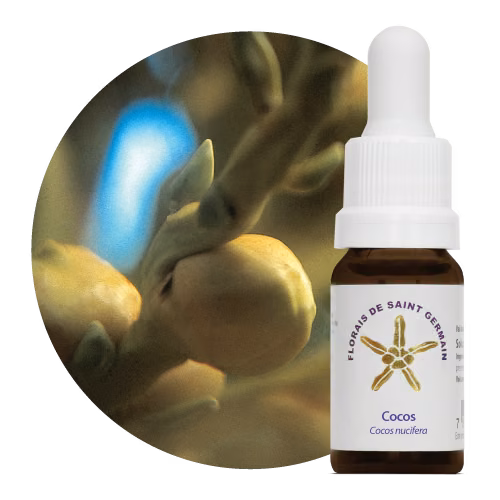 Cocos Floral de Saint Germain 10 ml